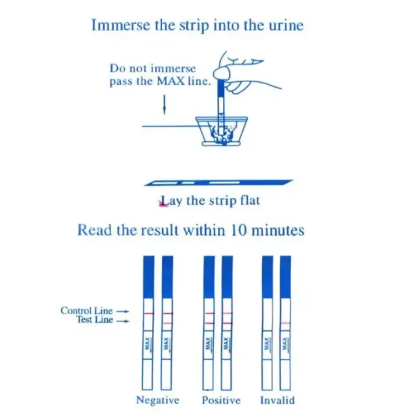 40Pcs LH Ovulation Tests Over 99% Accuracy Test Sensitive Fertility Predictor Household Strips Urine Test Strips First Response - Image 6