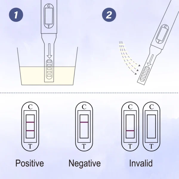 Pelvifine Pregnancy Test - Detect HCG with 99% Accuracy -Fast Easy to Use at Home HCG Urine Test with Fast and Reliable - Image 2
