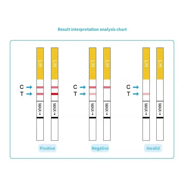 50 Pregnancy Test Strips Early Detection HCG Test Strips for Women, Rapid Early Results Over 99% Accurate up to 6 Days Before - Image 6