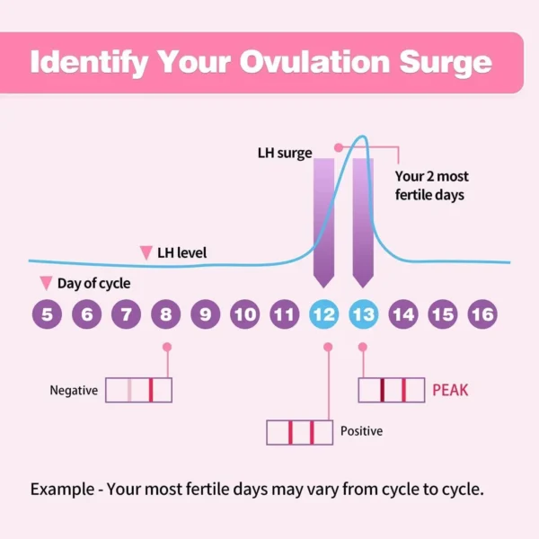 Pregnancy Test Strips and Ovulation Test Strips Combo Pack- 25 LH Predictor Tests and 10 hCG Tests -Reliable Home Testing - Image 3