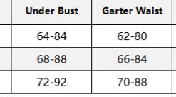 Alternative view of Black Embroidered Garter Lace Sexy Women's Bra Sexy Suit